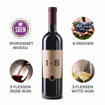Wijnpakket Wijnvignet Demi