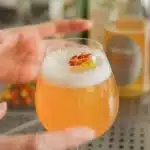 Bôtan Ginzu Spritzer Alcoholvrij