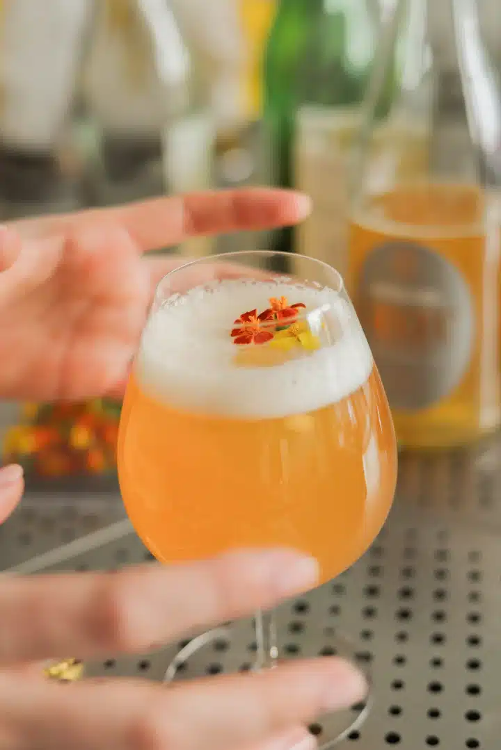 Bôtan Ginzu Spritzer Alcoholvrij